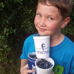 Meet your Posher, Corrie